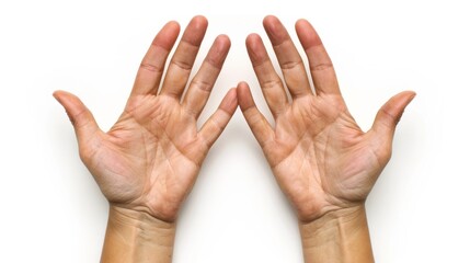 Wall Mural - Two Open Palms Facing Upward on a White Background