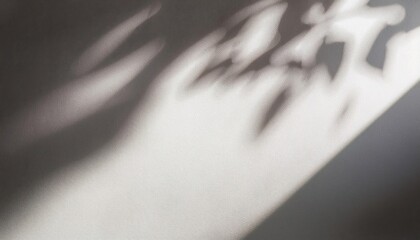 Poster - Soft Sunlight Casting Gentle Shadows on Textured White Wall. Minimalist Natural Lighting Effect Creating Calm and Serene Atmosphere with Smooth Transition from Light to Shade. Background For Product 