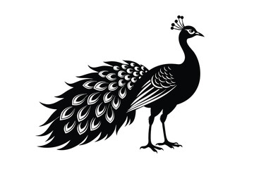 Wall Mural - peacock bird-silhouette-black vector illustration A.eps