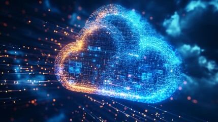 Background in digital technology, software development, cloud computing, business intelligence, global network, data analysis, computer programming.