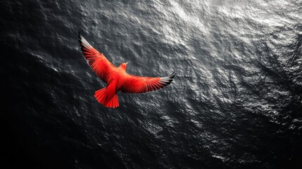 A stunning black and white aerial view with a bright red bird flying over a vast ocean