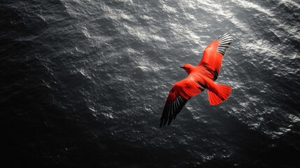 A stunning black and white aerial view with a bright red bird flying over a vast ocean