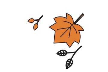 Wall Mural - Vector set of decorative autumn leaf silhouettes.