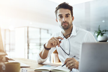 Sticker - Business, man and portrait with laptop at office on website or online for research and information. Lens flare, male person and serious as employee on diary or notebook on internet as project manager