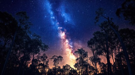 Wall Mural - bright milky way galaxy core glowing in the sky above a dense forest, with tall trees silhouetted ag