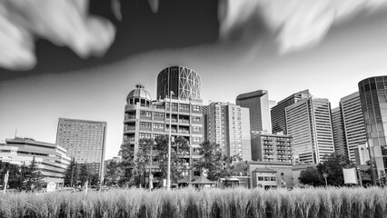 Sunset over Calgary skyscrapers, Alberta