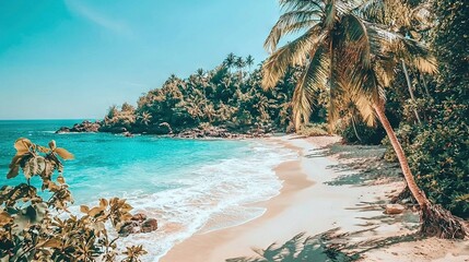 Sticker -   A serene beach with palm trees and clear skies