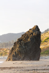 Wall Mural - Large Rock On Sand Beach Oregon With Hills In Background