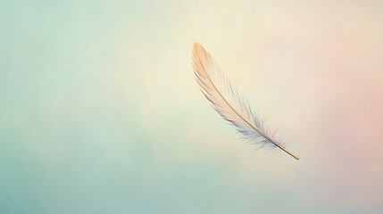 Canvas Print - Single white feather on a soft pastel background.