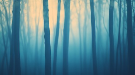 Wall Mural - silhouettes of trees in a misty forest at sunset.