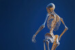© NILSEN Studio - Artistic render of a human skeleton against a blue background, showcasing the intricate design and structure of the skeletal system in an isolated environment.