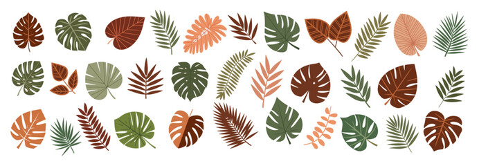 Wall Mural - Tropical different type exotic leaves set. Jungle plants. Calathea, Monstera, banana, palm leaves. Cartoon realistic vector illustration isolated on transparent background.