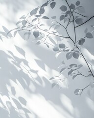 Stark Leaf Shadows on a White Wall