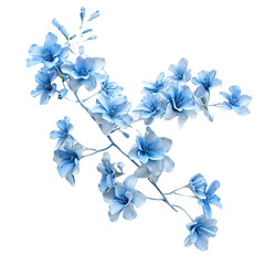 blue flower bouquet on a black background