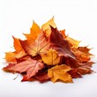 © Jota - Pile of autumn leaves isolated on white background