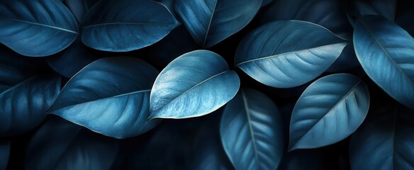 dramatic closeup of dark tropical leaves creating abstract patterns and textures deep shadows and rich black tones evoke mysterious exotic atmosphere with aienhanced details