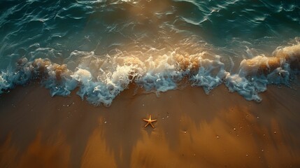 A starfish and a bunch of shells are on the beach