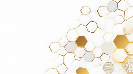 Vector banner design, white background with hexagon pattern.