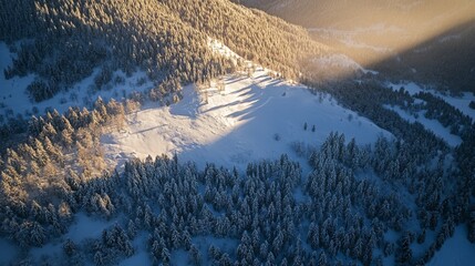 Wall Mural - Aerial View of a Snow-Covered Forest in the Mountains at Sunset