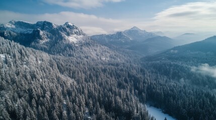 Poster - Aerial View of a Snow-Covered Mountain Range with a Forest in the Foreground