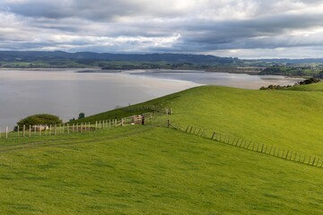 Rolling farm hills in Duder Regional Park, Auckland, New Zealand.