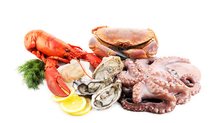 Wall Mural - Fresh raw octopus and different sea food isolated on white