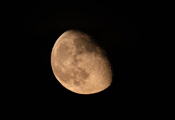 moon in the night