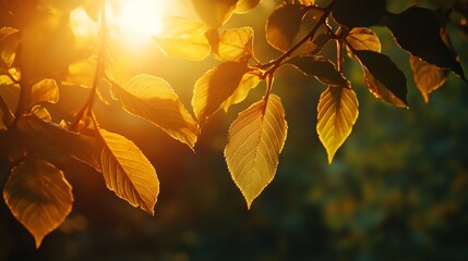 Sticker - Golden leaves lit by the setting sun with a blurred background.