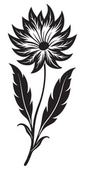 Wall Mural - Phoenix flower silhouette vector on a white background