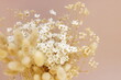 © irenastar - Dried flowers bouquet composition on beige background,Copy space.Neutral colors boho style decor.Aesthetic poster.