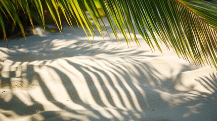 Sticker - Palm leaves cast striped shadows on white sand.