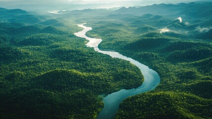 A breathtaking view of a winding river and lush forests from the sky, capturing nature's beauty in flight