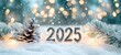 © Lucky_jl - Celebrate the new year 2025 with a festive winter scene featuring snow, pine, and sparkling lights.