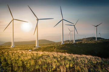 wind turbine in the field