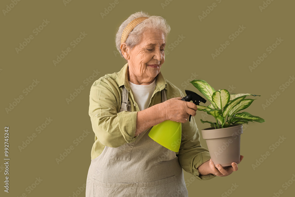 Senior gardener spraying plant with water on green background