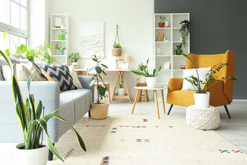 Wall Mural - Interior of light living room with green houseplants, sofa and armchair