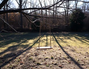 Poster - A single wooden swing, suspended from a branch now almost bare, sways gently in the soft autumn breeze.