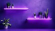 © Gefo - Modern minimalist shelves with plants illuminated by purple neon lights