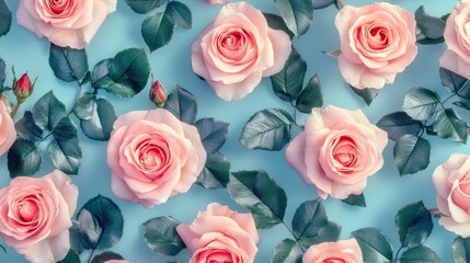 Wall Mural - Pink Roses and Green Leaves on Blue Background, floral, nature