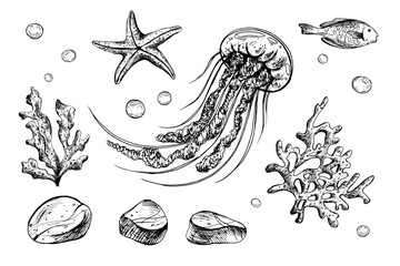 Wall Mural - Jellyfish, shells, starfish, fish, bubbles, pebbles and other sea animals and plants. Graphic illustration hand drawn in black ink. Set of isolated objects EPS vector.