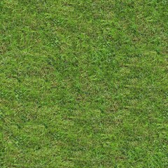 Seamless texture of the grass surface