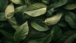 © MdAnontoIslam - Vibrant Green Foliage Closeup with Textured Leaves in Natural Light and Detailed Vein-generative ai