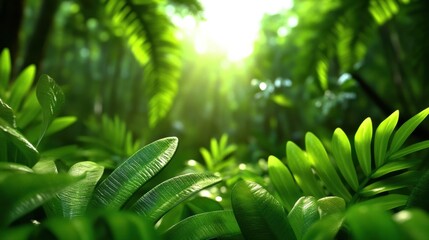 Sticker - Lush Green Foliage in a Sunlit Tropical Forest