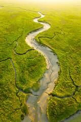 Wall Mural - nature from a drone. aerial view of a meandering river in a field. scene from air. landscape during 