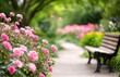 © ArtCookStudio - A wooden bench amidst blooming pink roses in a tranquil garden during summer afternoons