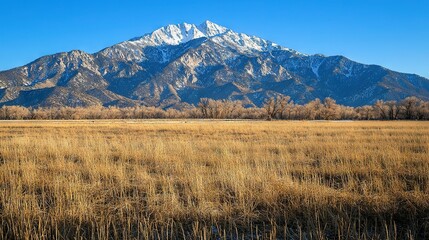 Wall Mural -   A lush field of towering brown grass stretches out before a majestic mountain range capped with glittering snow peaks in the far distance