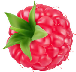 Wall Mural - Realistic isolated 3d ripe raspberry berry fruit with vibrant, shiny and glossy texture, showcasing its juicy and plump segments and green leaves on top. Vector sweet summer, fresh and natural dessert