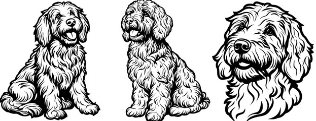 Cuttable cockapoo clipart cricut digital art artwork modern cuttable cockapoo portrait vecor