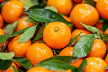 The orange leaves of a satsuma mandarin are shown closeup