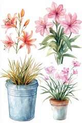 Poster - Watercolor Flowers in Pots.